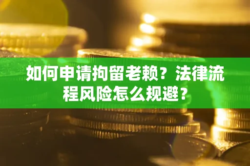 武汉如何申请拘留老赖？法律流程风险怎么规避？