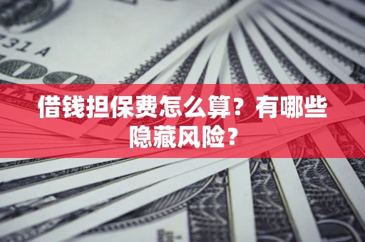 武汉借钱担保费怎么算？有哪些隐藏风险？