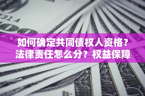 武汉如何确定共同债权人资格？法律责任怎么分？权益保障技巧揭秘！