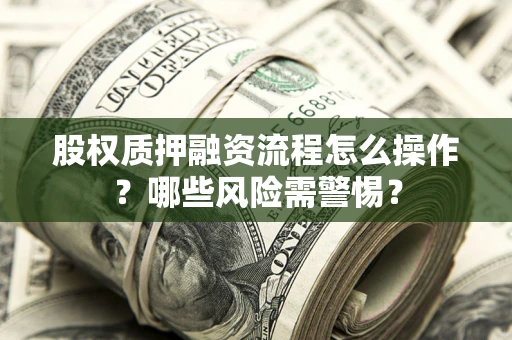 武汉股权质押融资流程怎么操作？哪些风险需警惕？