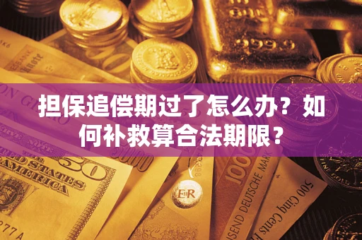 武汉担保追偿期过了怎么办？如何补救算合法期限？