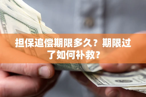 武汉担保追偿期限多久？期限过了如何补救？