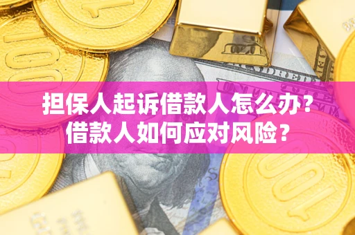 武汉担保人起诉借款人怎么办？借款人如何应对风险？