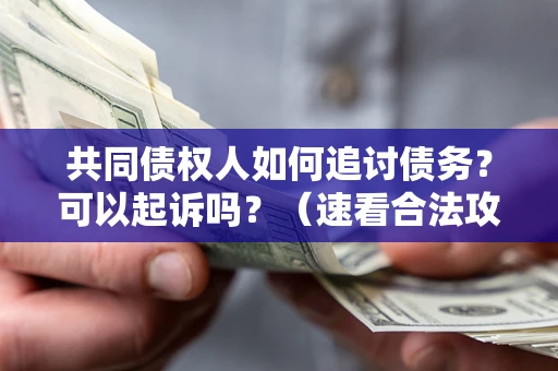 武汉共同债权人如何追讨债务？可以起诉吗？（速看合法攻略）