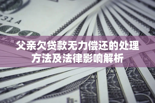 武汉父亲欠贷款无力偿还的处理方法及法律影响解析