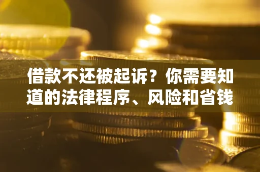 武汉借款不还被起诉？你需要知道的法律程序、风险和省钱技巧