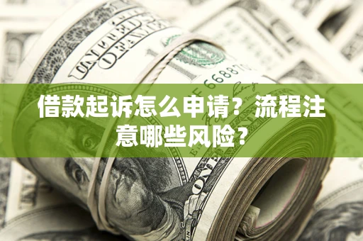 武汉借款起诉怎么申请？流程注意哪些风险？