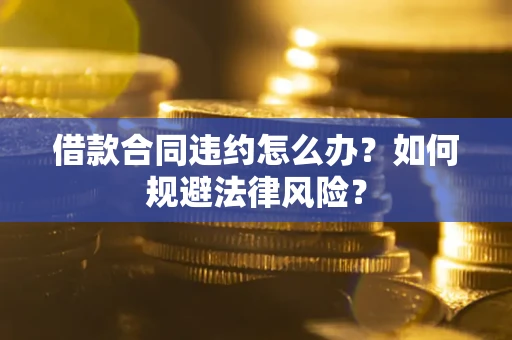 武汉借款合同违约怎么办？如何规避法律风险？